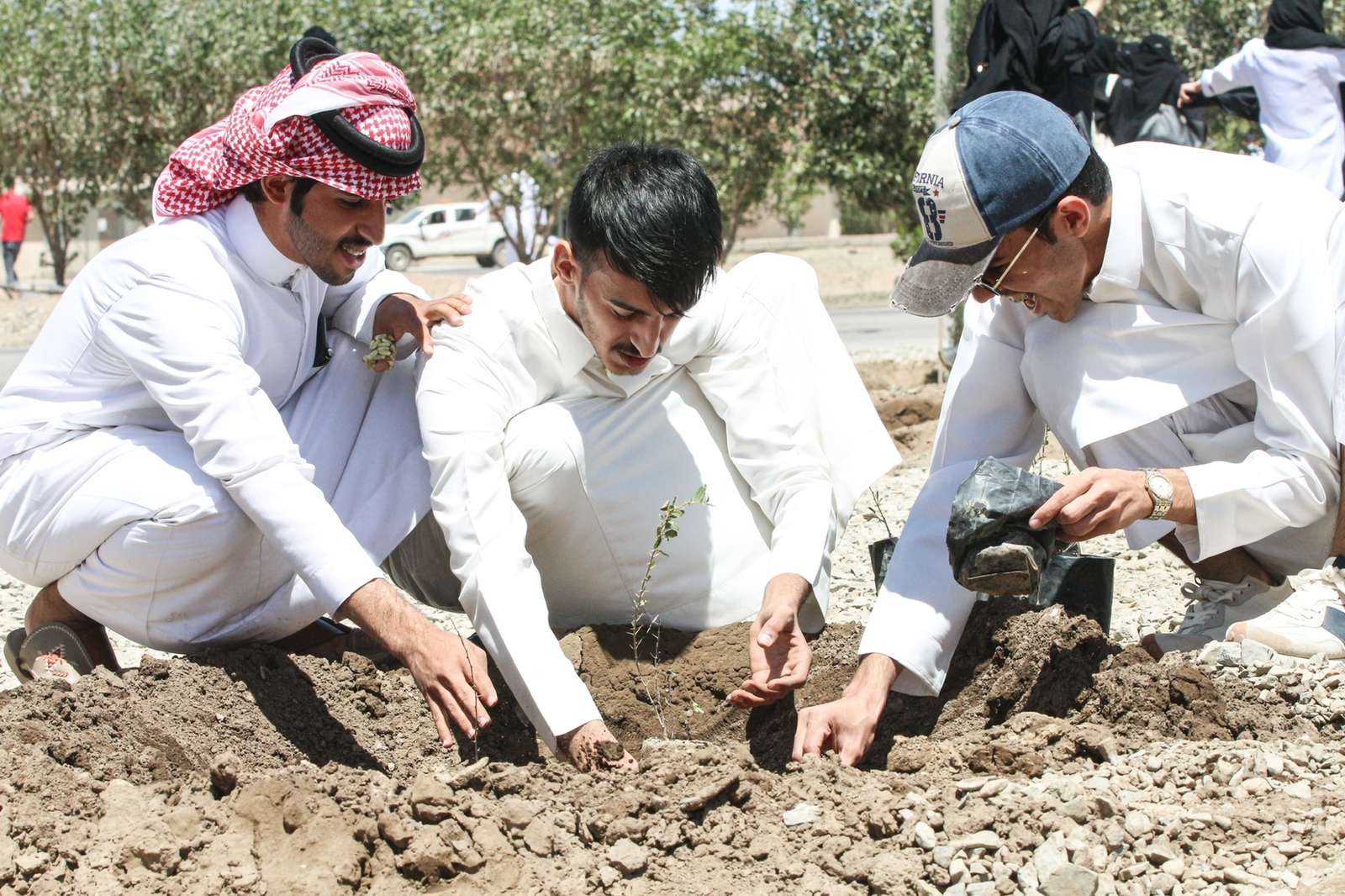 طلبة الكلية التطبيقية بجامعة بيشة يشاركون في زراعة 500 شتلة ضمن فعاليات أسبوع البيئة