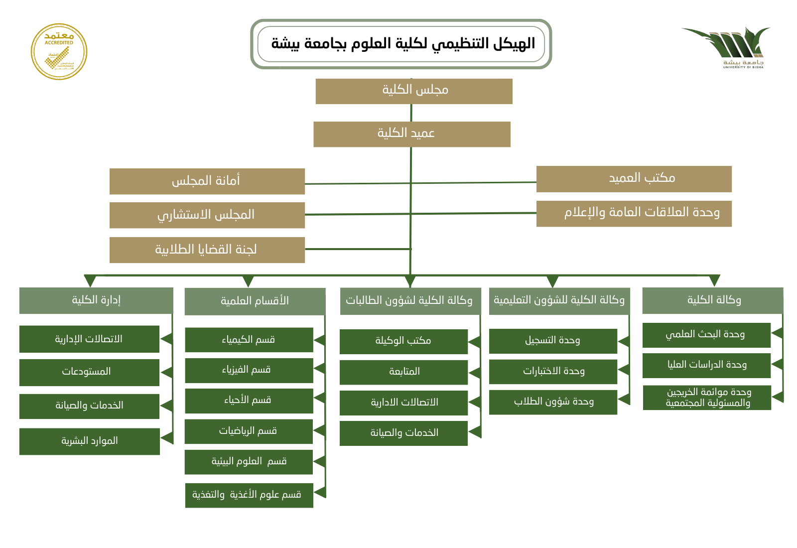 الهيكل التنظيمي نهائي موقع عربي أبيض.png